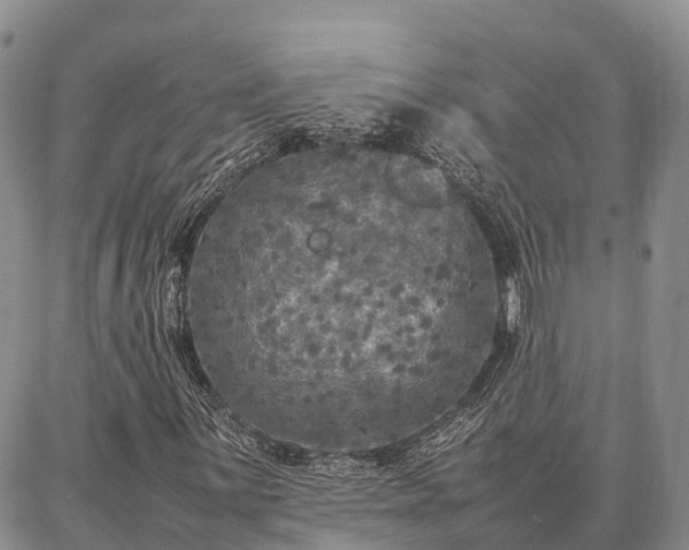 X0000087321059200704271422