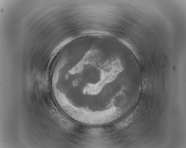 X0000087321074200704271422