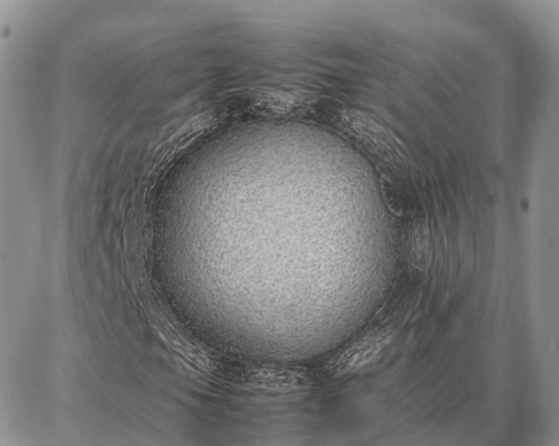 X0000087321105200704271420