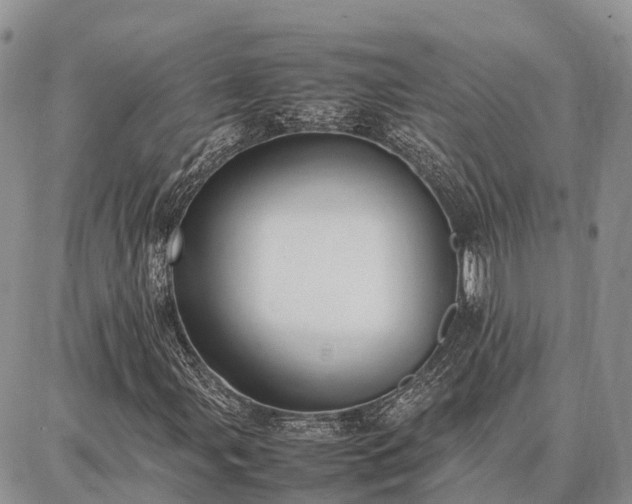 X0000087321107200704271420