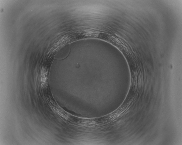 X0000087321154200704271420