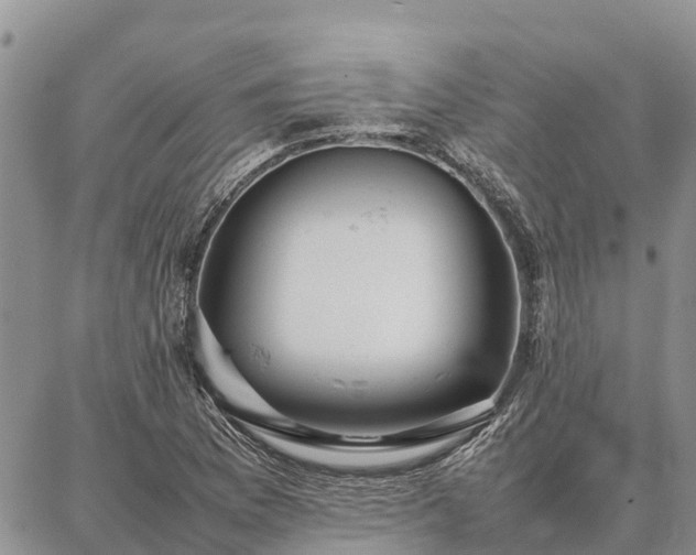 X0000087321169200704271420