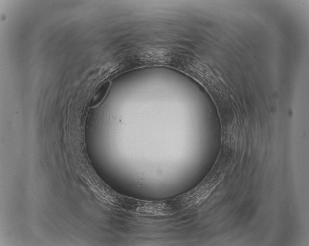 X0000087321201200704271419