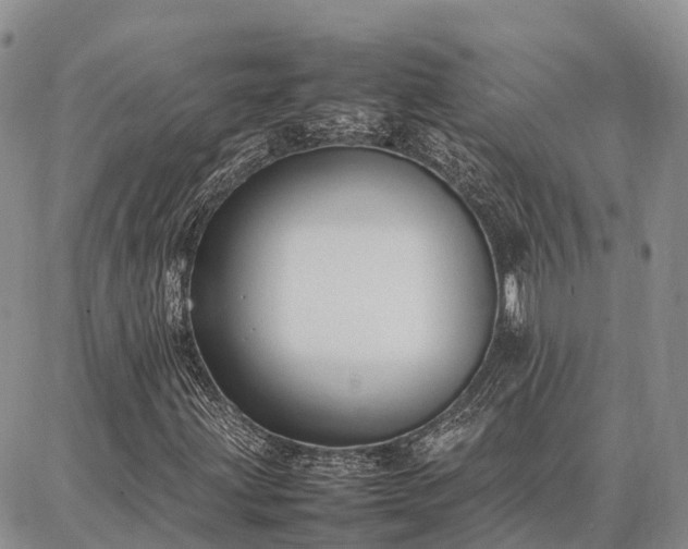 X0000087321203200704271419