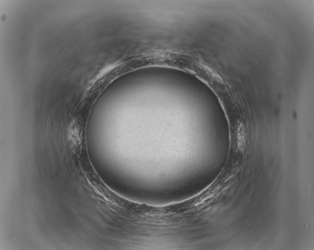 X0000087321206200704271419