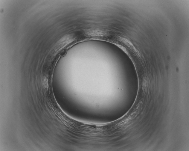 X0000087321209200704271419