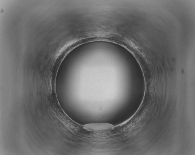 X0000087321214200704271419