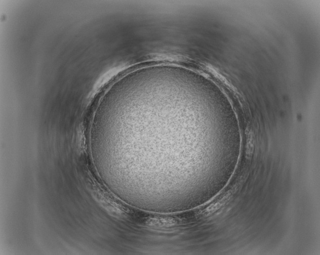X0000087321215200704271419