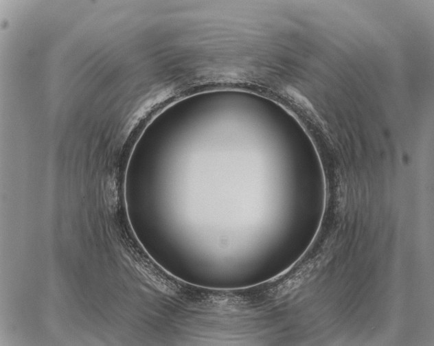 X0000087321218200704271419
