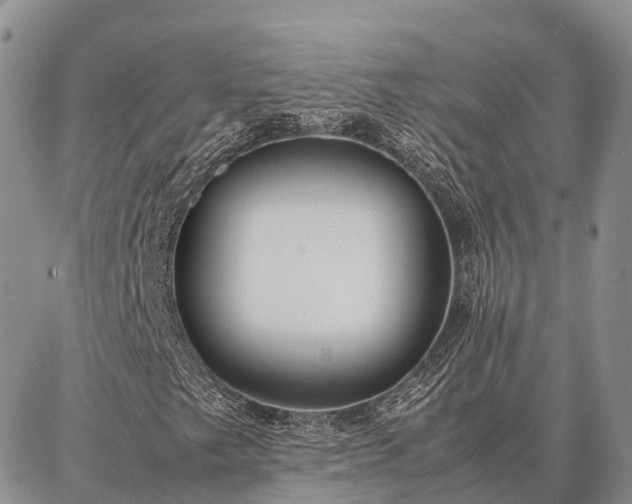 X0000087321249200704271419