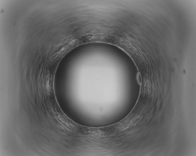 X0000087321250200704271419