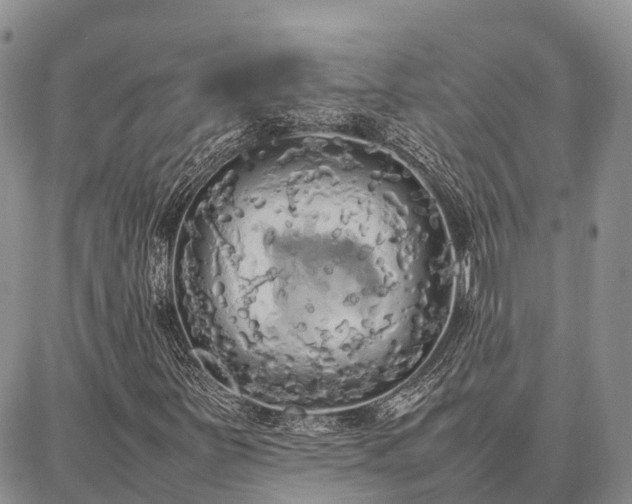 X0000087321251200704271419