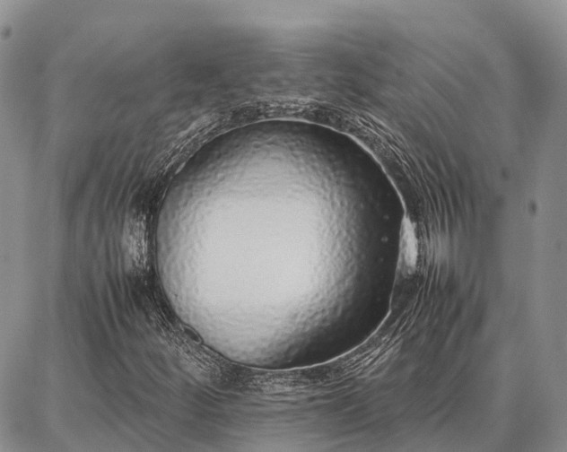 X0000087321252200704271419