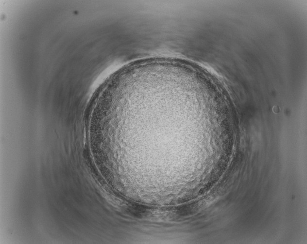 X0000087321271200704271418