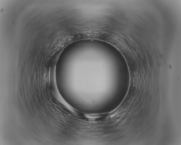 X0000087321298200704271417