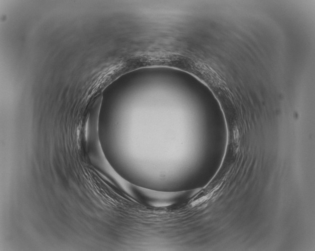X0000087321300200704271417