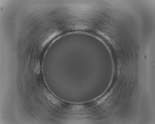 X0000087321306200704271417