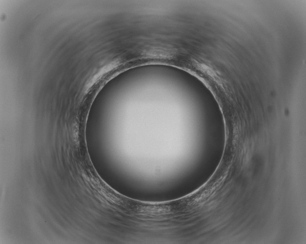 X0000087321307200704271417