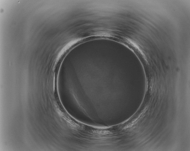 X0000087321323200704271417