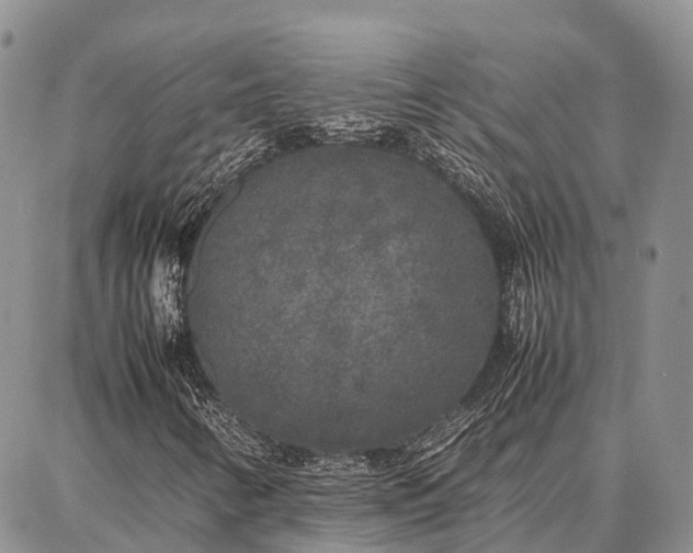 X0000087321346200704271417