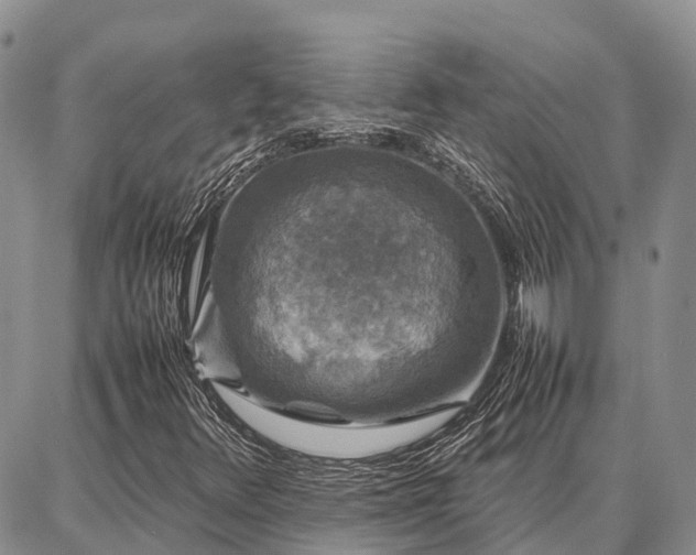 X0000087321348200704271417