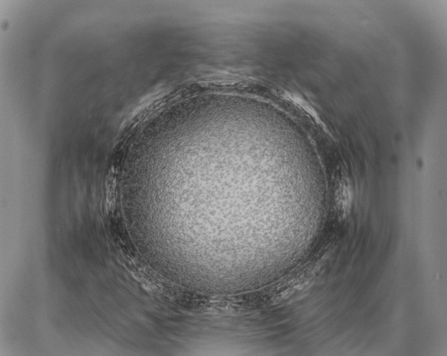 X0000087321350200704271417