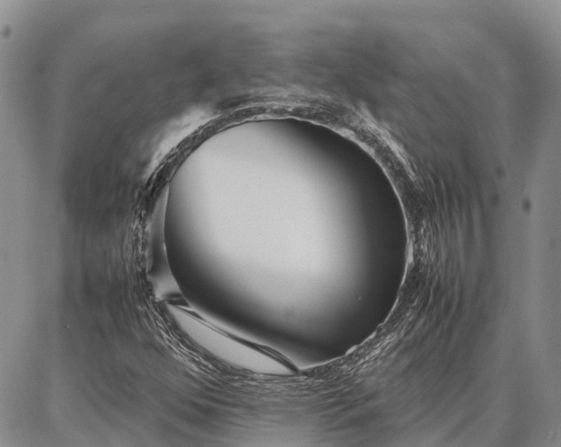 X0000087321352200704271417