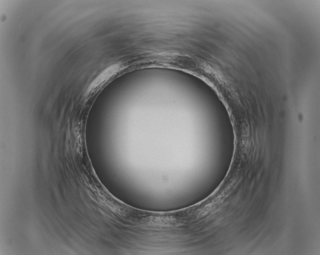 X0000087321354200704271417