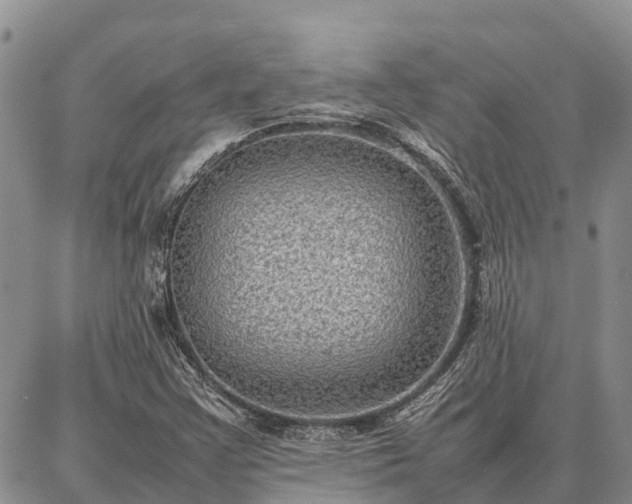 X0000087321355200704271417