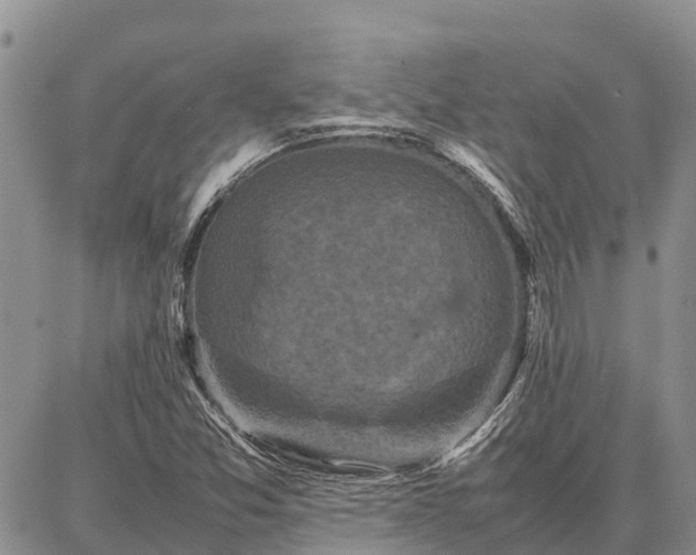 X0000087321357200704271417