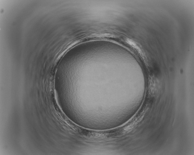 X0000087321361200704271417