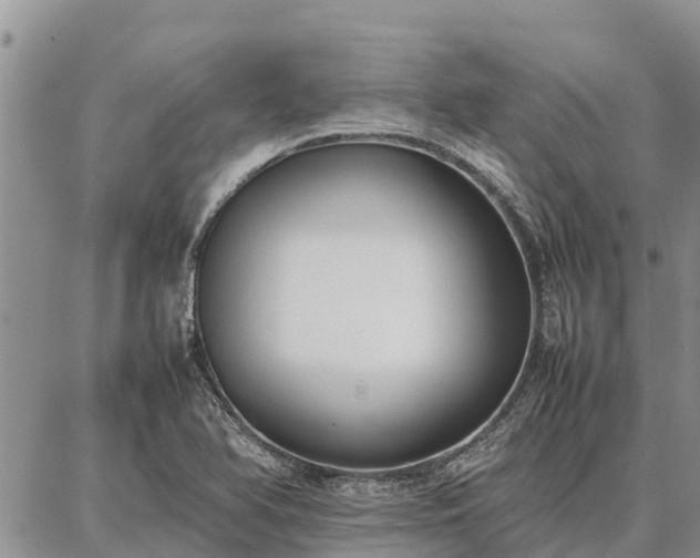X0000087321366200704271417