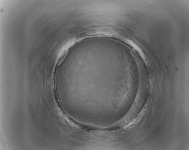 X0000087321373200704271417