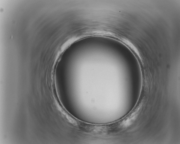 X0000087321381200704271416