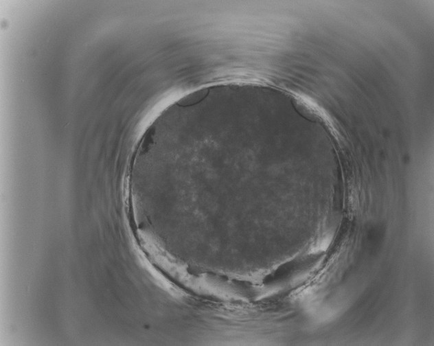 X0000087321383200704271416