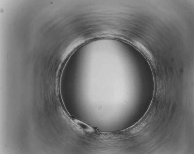 X0000087321384200704271416