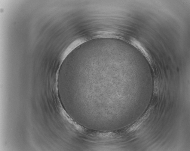 X0000087321386200704271416