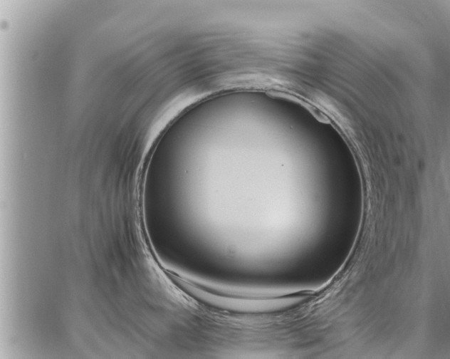 X0000087321392200704271416