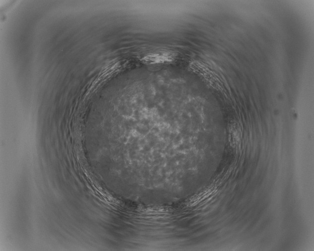 X0000087321393200704271416