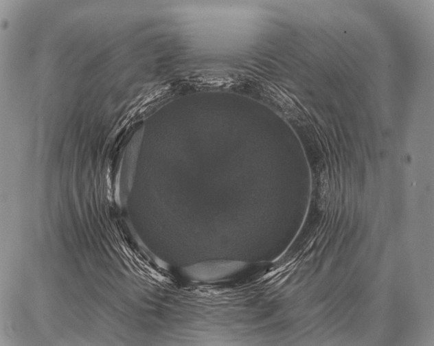 X0000087321394200704271416