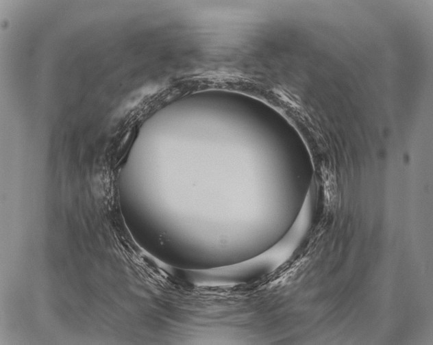 X0000087321398200704271416