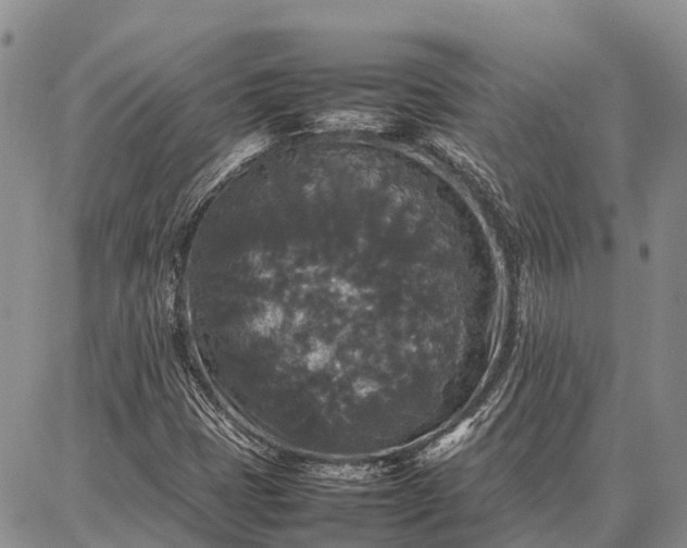 X0000087321401200704271416