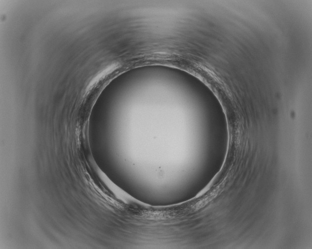 X0000087321402200704271416