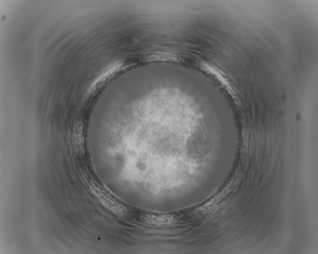 X0000087321403200704271416