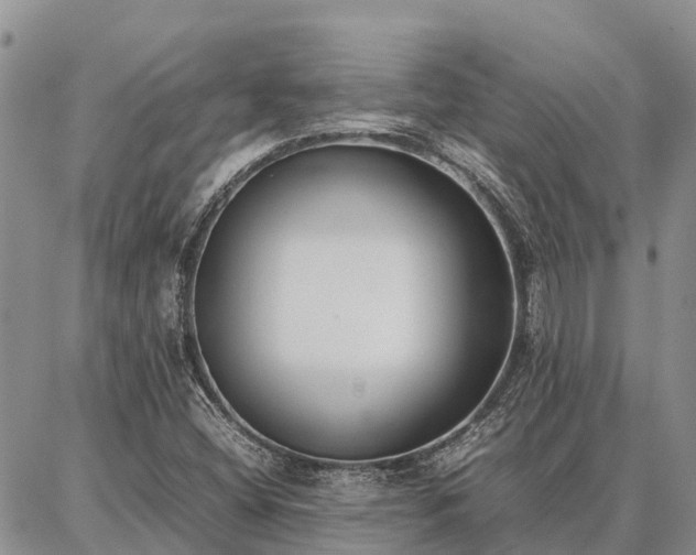 X0000087321404200704271416