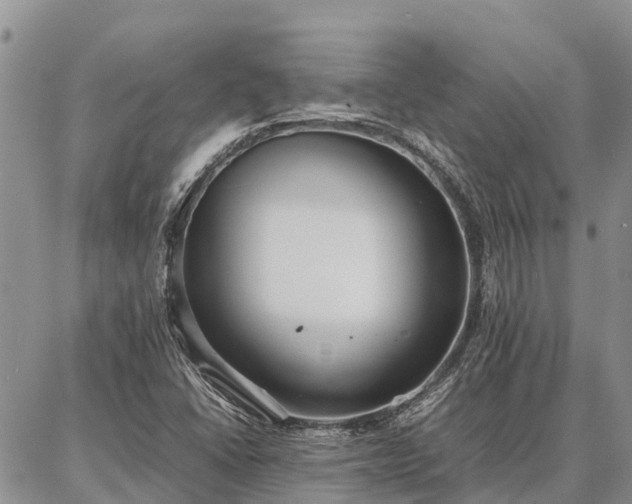 X0000087321406200704271416