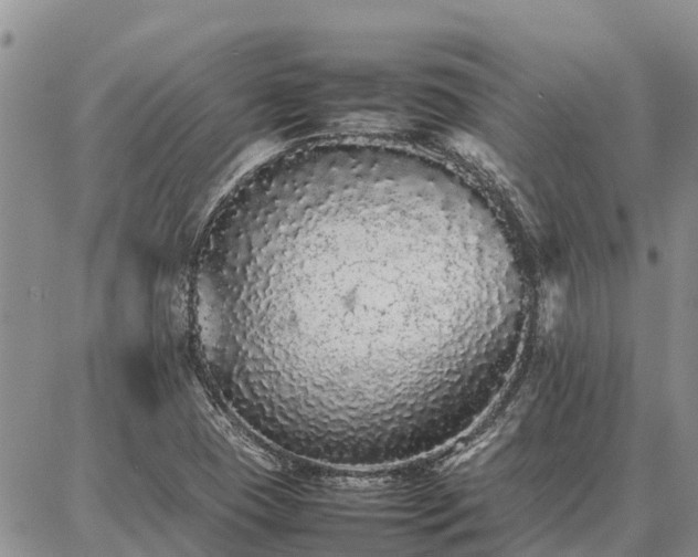 X0000087321409200704271416