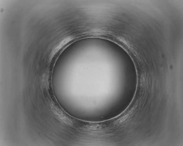 X0000087321410200704271416