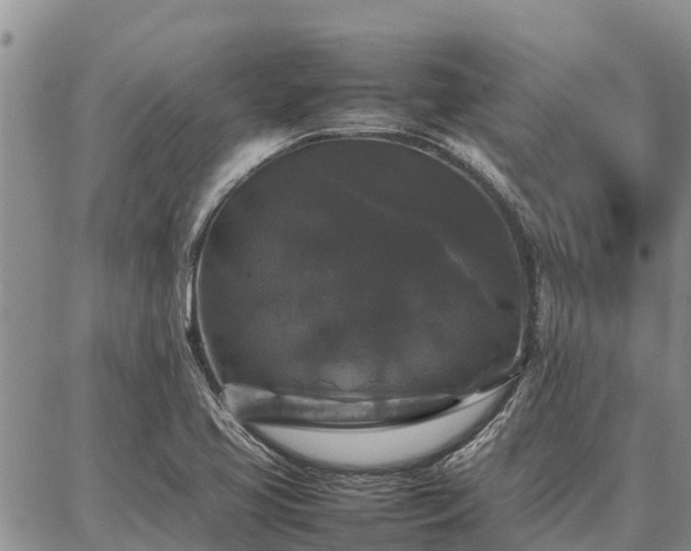 X0000087321413200704271416