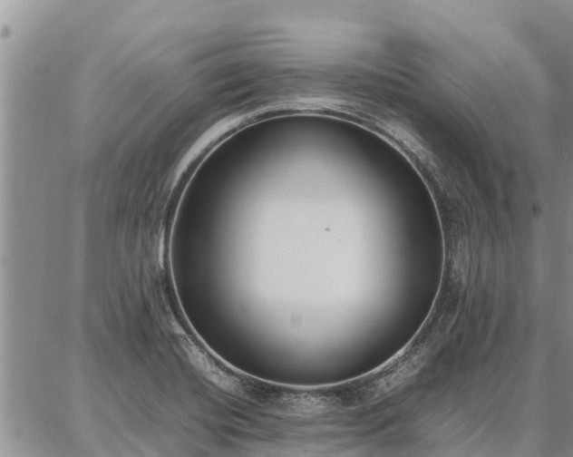 X0000087321420200704271416